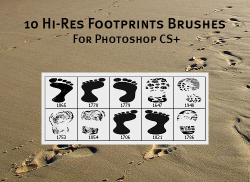 Footprints Brushes